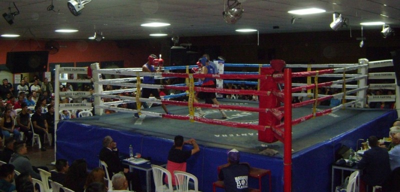Atractivos combates en el primer festival de boxeo